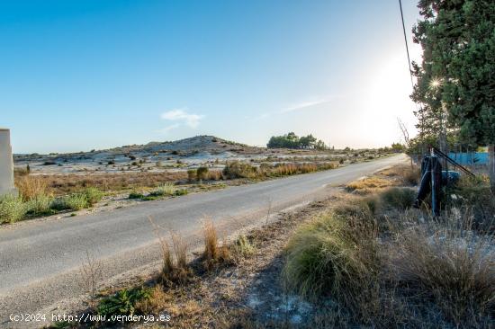 Parcela de uso agrario - MURCIA