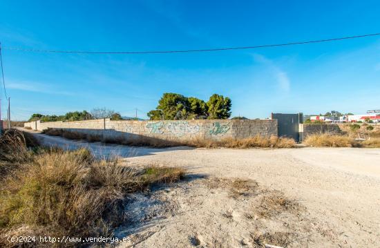 FINCA RUSTICA VALLADA EN EL LLANO DE MOLINA - MURCIA