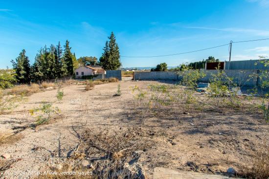 FINCA RUSTICA VALLADA EN EL LLANO DE MOLINA - MURCIA