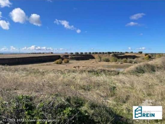  Suelos no urbanizables en venta en Lugar Lagunas, S/n, 45211, Recas (Toledo) - TOLEDO 