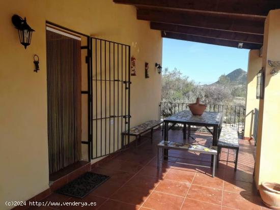  SE VENDE MAGNIFICA CASA RURAL EN CAMPO DE RICOTE - MURCIA 