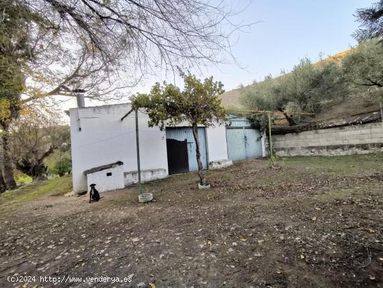 Venta de finca - CORDOBA