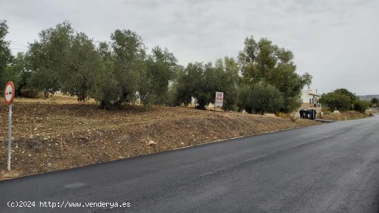 Terreno urbano con proyecto - MALAGA