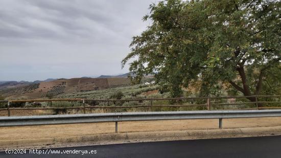 Terreno urbano con proyecto - MALAGA