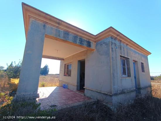  GRAN PARCELA DE 2.320 M/2 CON CASITA DE CAMPO SITUADA EN EL PAGO DEL HUMO. - CADIZ 