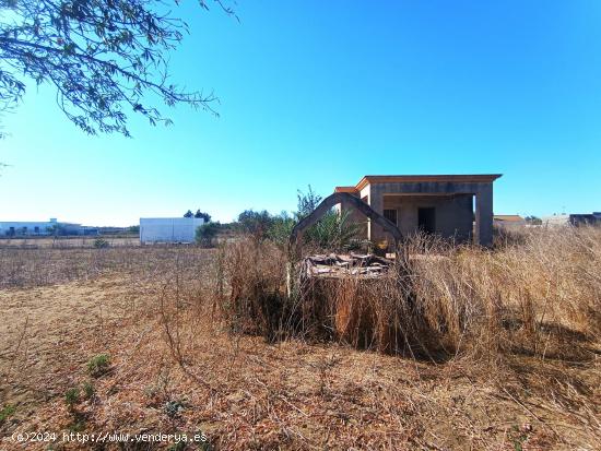 GRAN PARCELA DE 2.320 M/2 CON CASITA DE CAMPO SITUADA EN EL PAGO DEL HUMO. - CADIZ