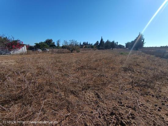 GRAN PARCELA DE 2.320 M/2 CON CASITA DE CAMPO SITUADA EN EL PAGO DEL HUMO. - CADIZ