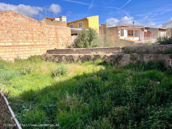  Solar en Sa Pobla - BALEARES 