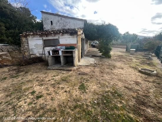 Se vende finca rústica en Calvia Pueblo - BALEARES