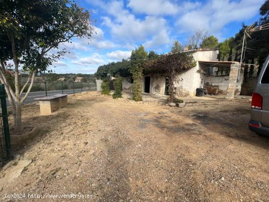 Se vende finca rústica en Calvia Pueblo - BALEARES