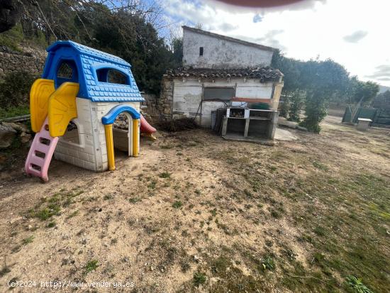 Se vende finca rústica en Calvia Pueblo - BALEARES