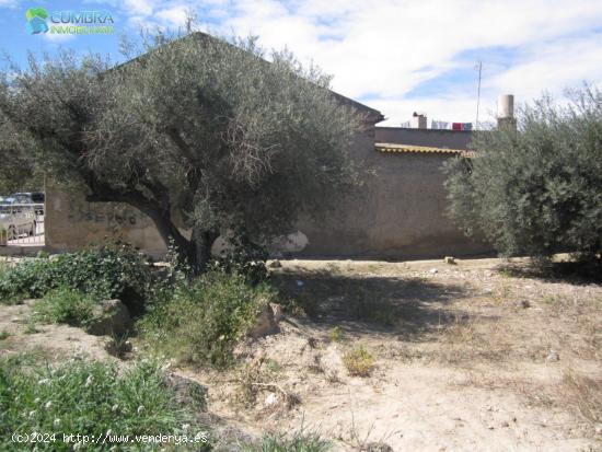 PARCELA RÚSTICA EN PLENO CENTRO - MURCIA