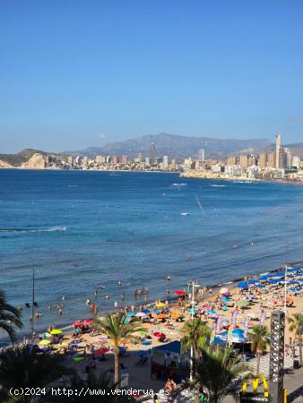 Alquiler larga temporada al lado de la playa Levante. - ALICANTE