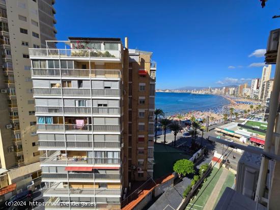 Alquiler larga temporada al lado de la playa Levante. - ALICANTE