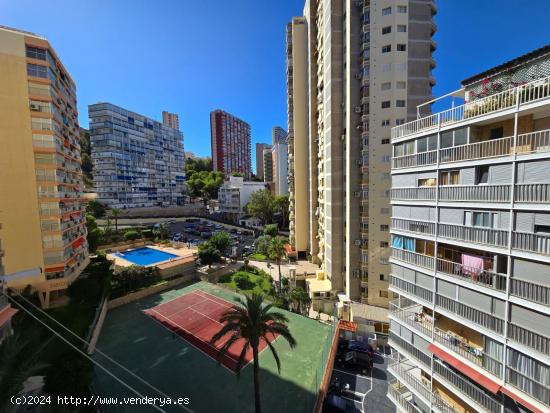 Alquiler larga temporada al lado de la playa Levante. - ALICANTE