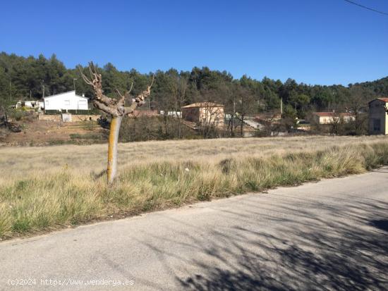  Terreno urbano en La Moixeta (La Juncosa de Montmell) - TARRAGONA 