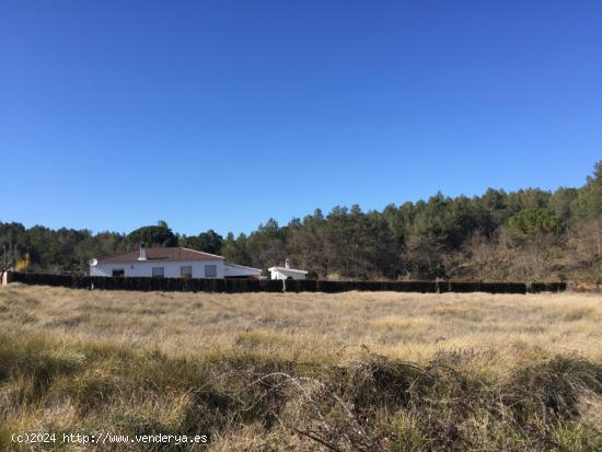 Terreno urbano en La Moixeta (La Juncosa de Montmell) - TARRAGONA