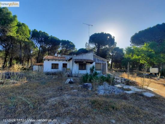  SE VENDE CASA EN HERRERA DE DUERO - VALLADOLID 