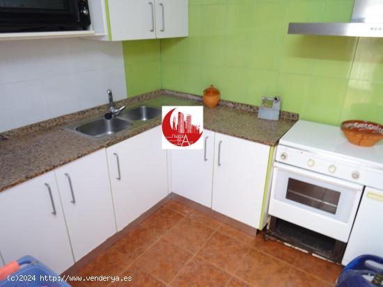 ¡Planta baja en VENTA de 4 dormitorios, amplio patio, jardín y cochera en Los Dolores! - MURCIA