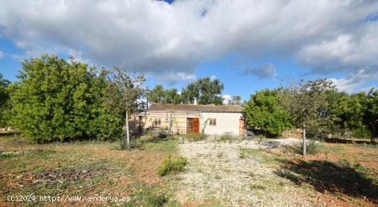 FINCA RÚSTICA A LA VENTA EN BÚGER - BALEARES