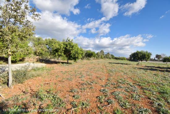 FINCA RÚSTICA A LA VENTA EN BÚGER - BALEARES