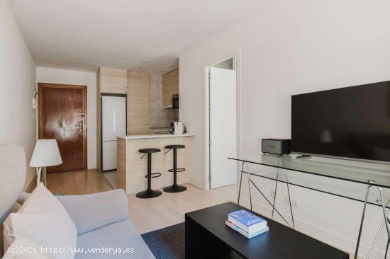 Apartamento de 1 dormitorio en alquiler en Retiro - MADRID