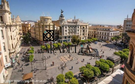  MAGNÍFICO LOCAL EN ALQUILER EN PLENO CENTRO DE CÓRDOBA - CORDOBA 