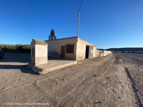 FINCA RÚSTICA EN EL COCÓN - MURCIA