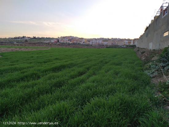 VENTA DE FINCA EN LAS GABIAS - GRANADA