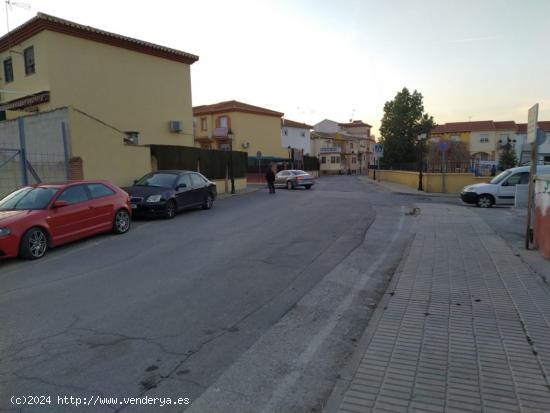 VENTA DE FINCA EN LAS GABIAS - GRANADA