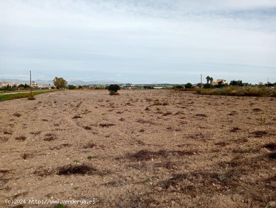 Espectacular finca rústica con proyecto finalista - BALEARES