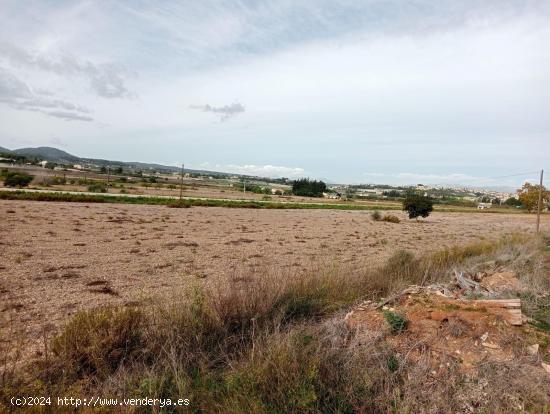 Espectacular finca rústica con proyecto finalista - BALEARES