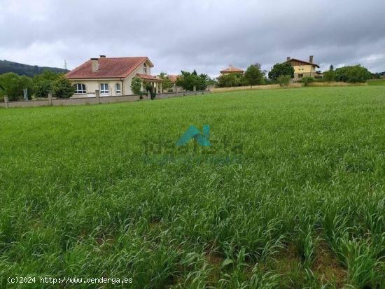 Se vende terreno urbano en Meruelo - CANTABRIA