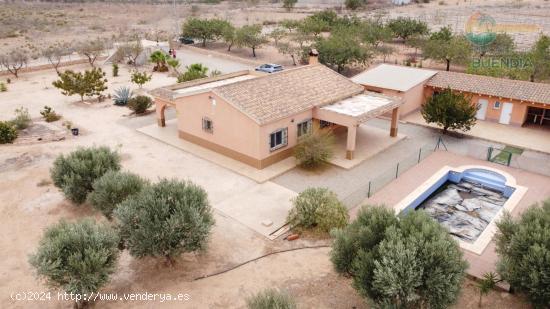 FINCA CON TERRENO Y APARTAMENTO INDEPENDIENTE MUY CERCA DE AEROPUERTO MURCIA - REF 686 - MURCIA