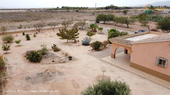 FINCA CON TERRENO Y APARTAMENTO INDEPENDIENTE MUY CERCA DE AEROPUERTO MURCIA - REF 686 - MURCIA