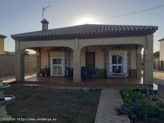  VENTA DE DOS CHALETS EN LA RANA VERDE - CADIZ 