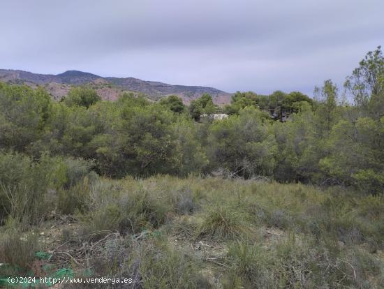 Terreno Urbano - Mortí, Totana - MURCIA