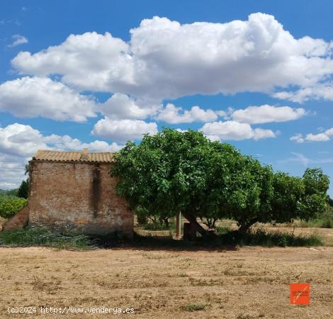  FINCA RUSTICA CON CASA EN VENTA EN VINALLOP (TORTOSA) - TARRAGONA 