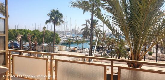 Apartamento en Paseo Marítimo de  Palma - BALEARES