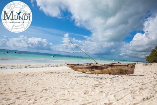  Villa de ensueño en la playa de Zanzibar - LAS PALMAS 