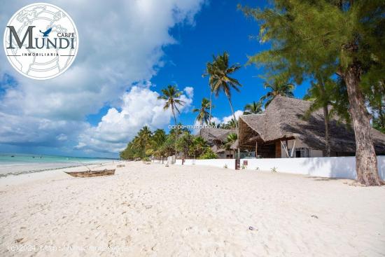 Villa de ensueño en la playa de Zanzibar - LAS PALMAS