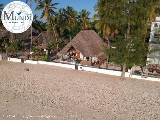 Villa de ensueño en la playa de Zanzibar - LAS PALMAS