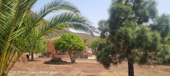 Escapada rural: Chalet con encanto a pocos metros de La Laguna  - SANTA CRUZ DE TENERIFE