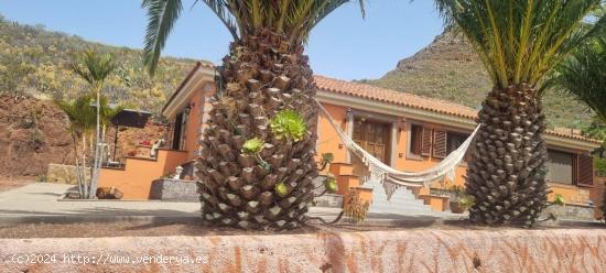 Escapada rural: Chalet con encanto a pocos metros de La Laguna  - SANTA CRUZ DE TENERIFE