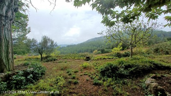 Masia en venta  en Llacuna, La - Barcelona