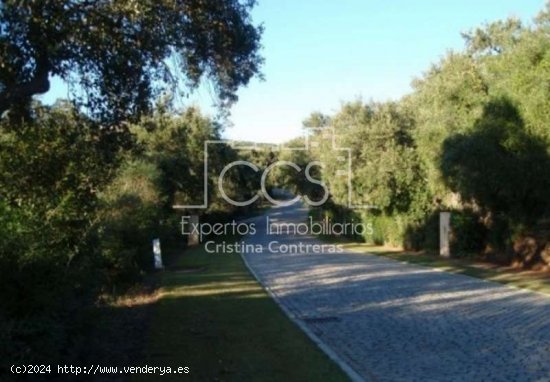 SE VENDE Venta de Parcela de 2400 m en San Roque-Sotogrande (Cádiz) - Sotogrande