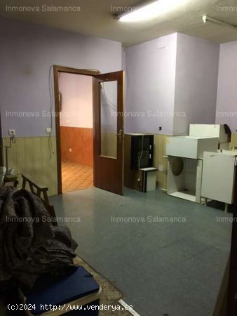 SALAMANCA ( Avda . Federico Anaya ) : Local apto para cualquier negocio . 300 € - Salamanca