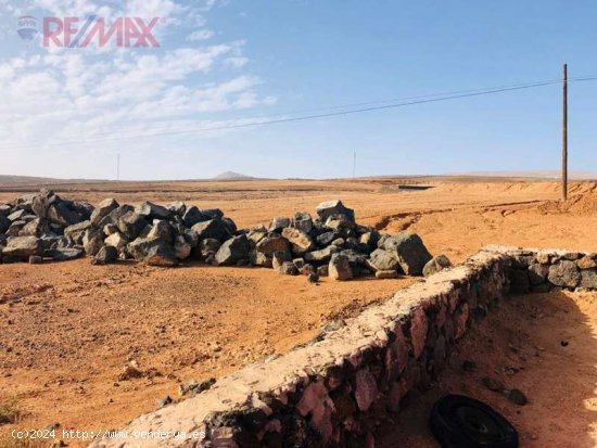 SE VENDE RÚSTICA, SUERTE DE TIERRA CORRAL HERMOSO CERCADO DEL AYUDANTE - Teguise