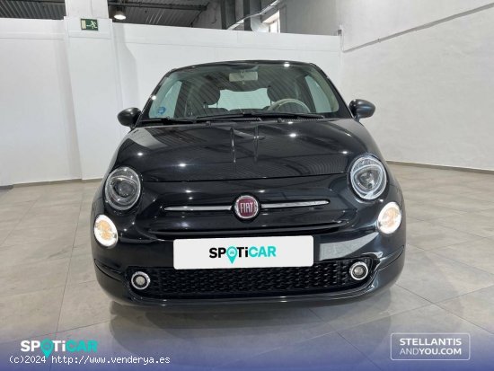 Fiat 500   1.0 Hybrid 51KW (70 CV) Dolcevita - Granada