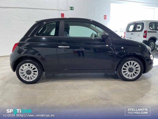 Fiat 500   1.0 Hybrid 51KW (70 CV) Dolcevita - Granada